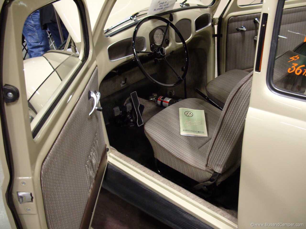 early beetle interior