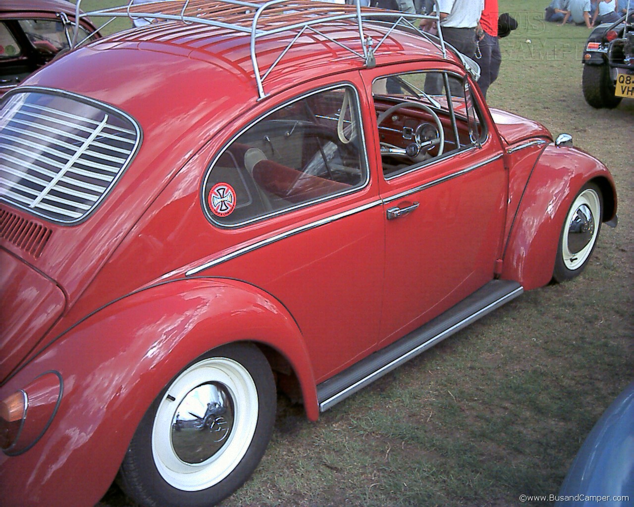 ruby red beetle