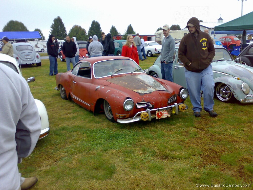 rat ghia