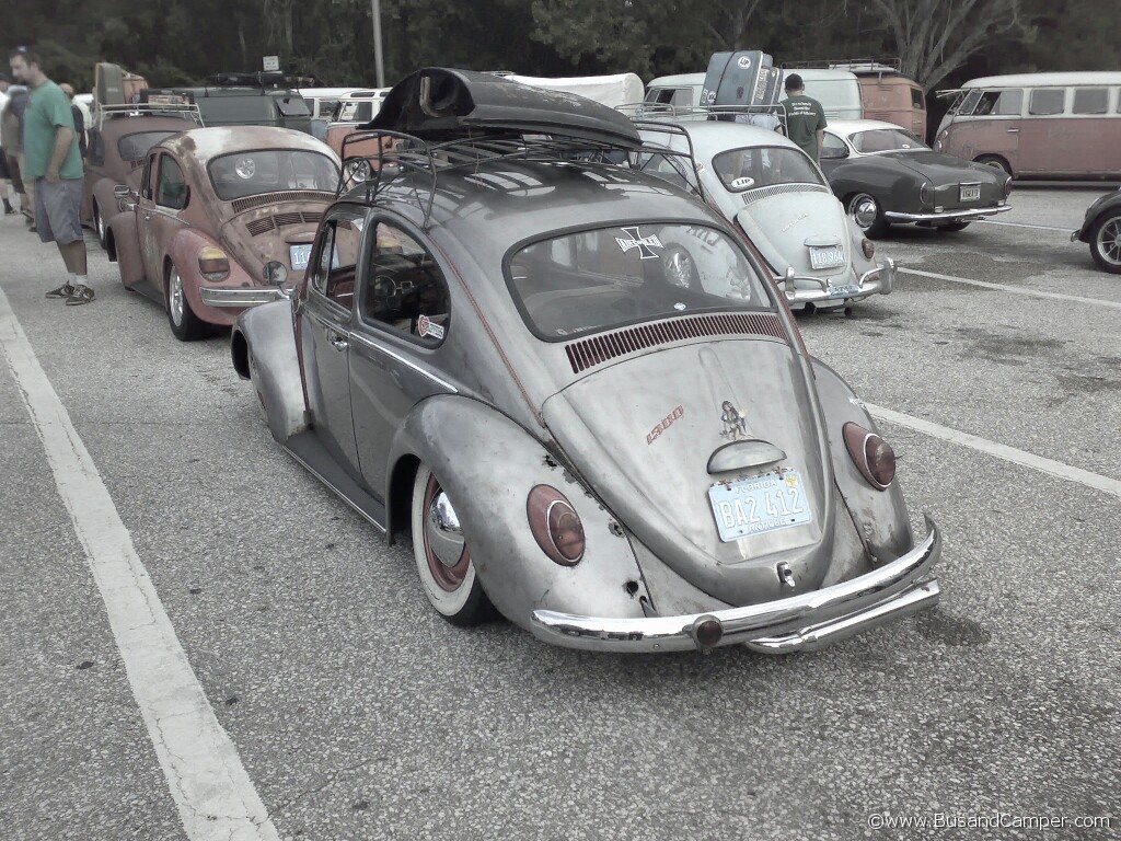 rat bug