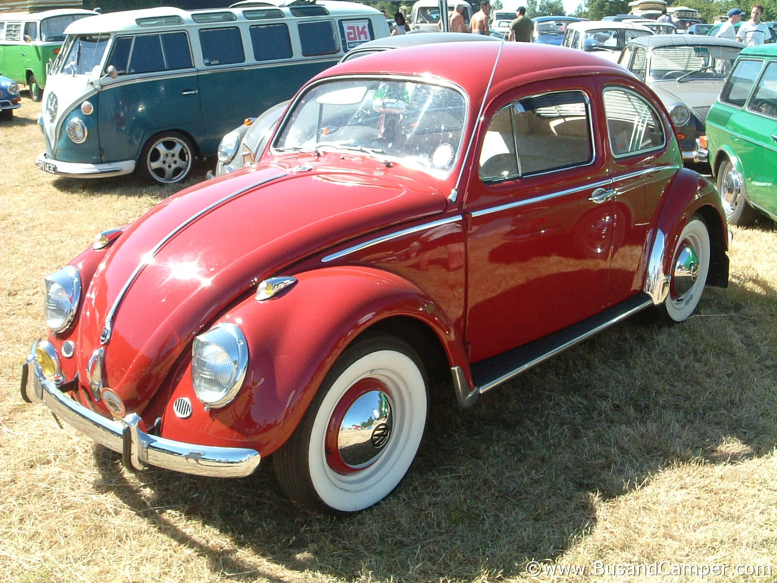 Red Beetle