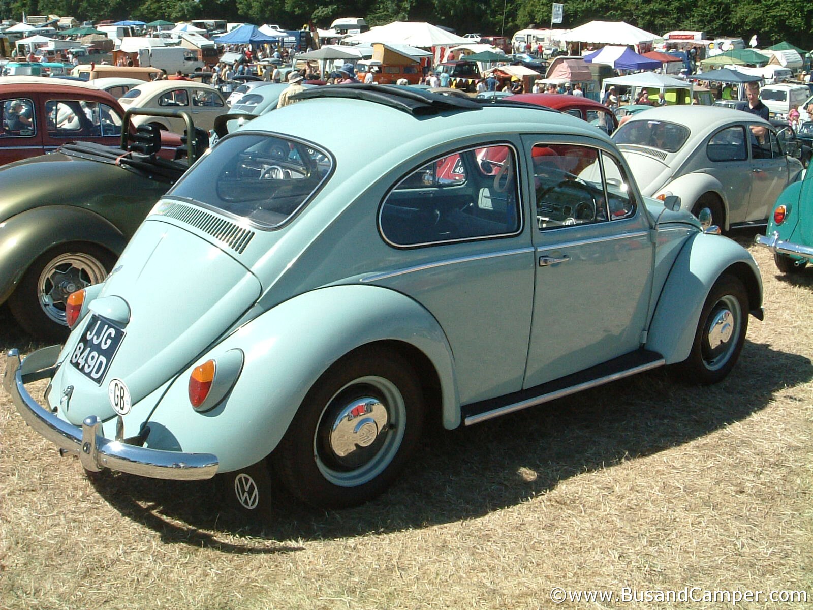 Light Blue Beetle