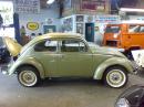 Semaphore ragtop beetle