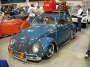 Gulf blue beetle original