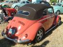 Karmann Beetle coral